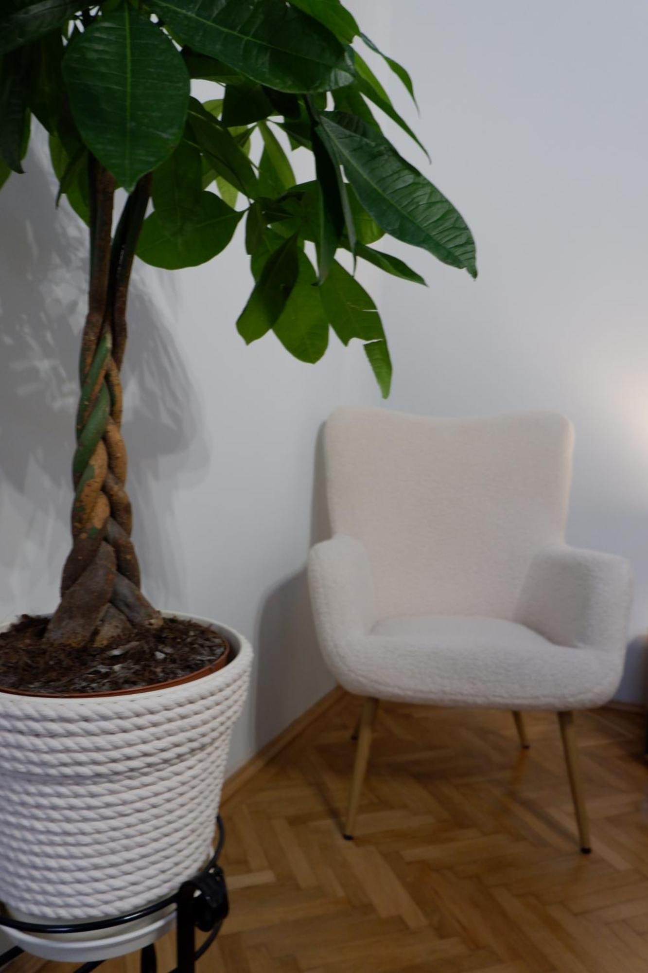 2 Bedroom Oldtown Mountain View Apartment With Private Terrace And High Ceilings Rooms Braşov Exterior foto